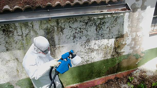 Top rated local Attic Mold Removal specialists in Mount Holly Springs, PA